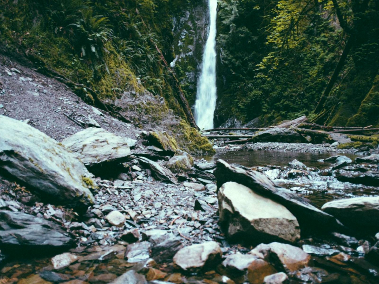 Nature scene photo after AI image upscaler, enhanced to 4K