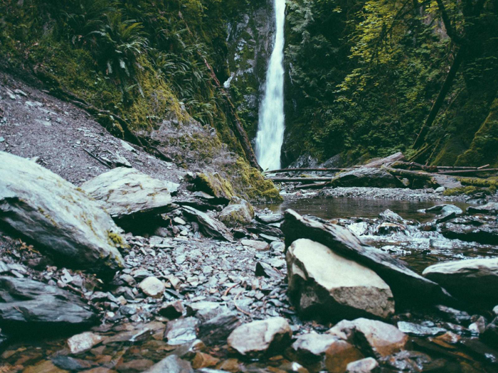 Nature scene photo before upscaling, low resolution